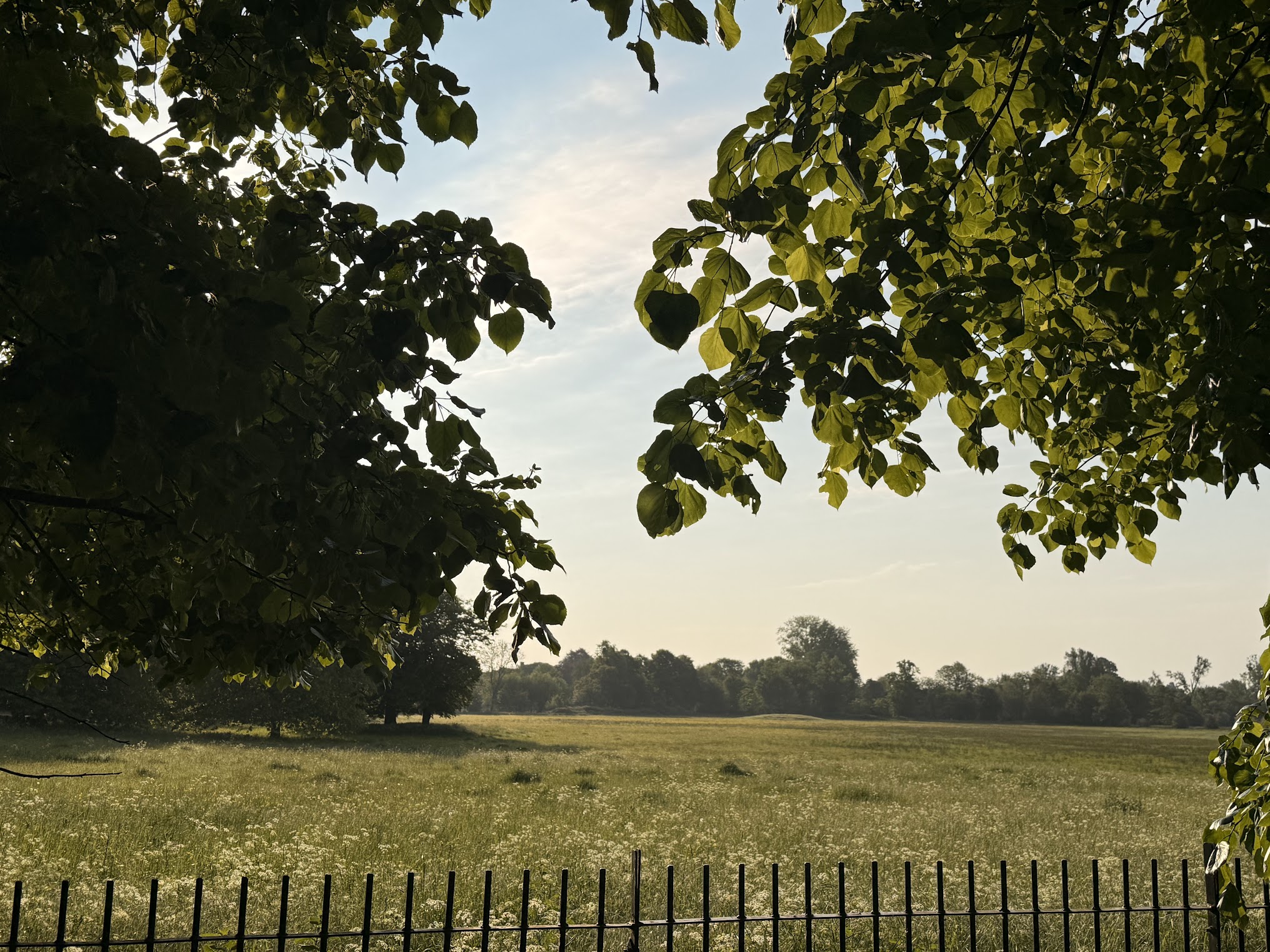 Christ Church Meadow in Oxford